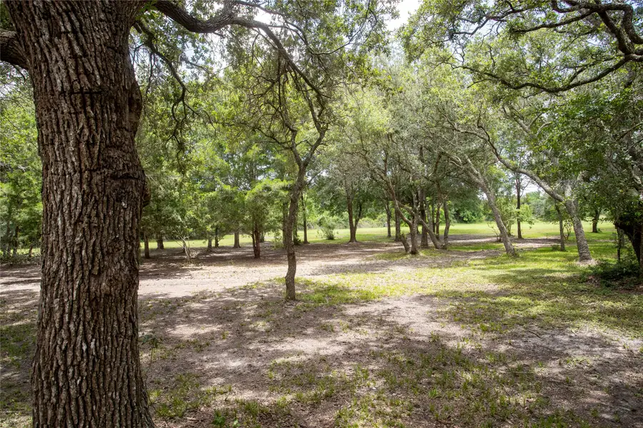 870 County Road 460, Blessing, TX 77419 - Image #3