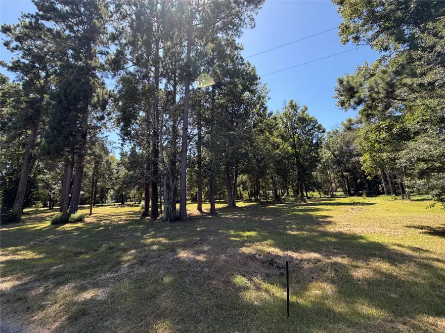 140 Pine Burr Court, Cleveland, TX 77327 - #2