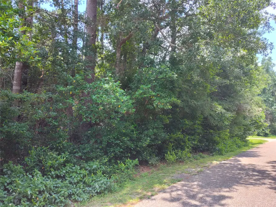 TBD Rollingwood Loop, Conroe, TX 77303 - Image #3