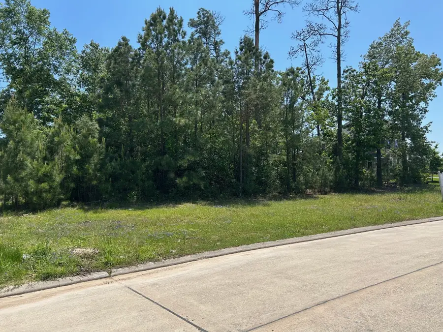 121 Kings Lake Estates Boulevard, Humble, TX 77346 - #2