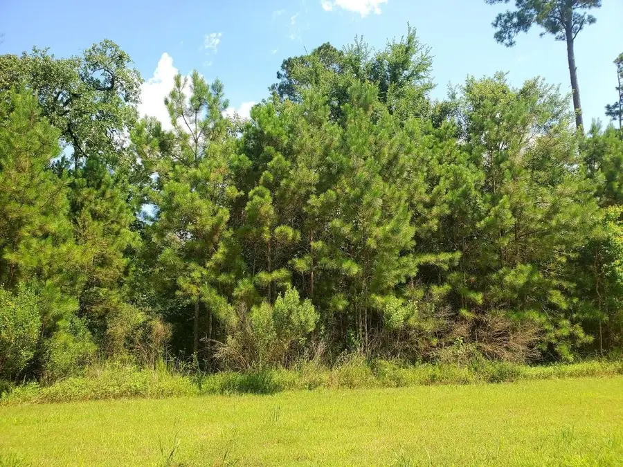 121 Kings Lake Estates Boulevard, Humble, TX 77346 - #3