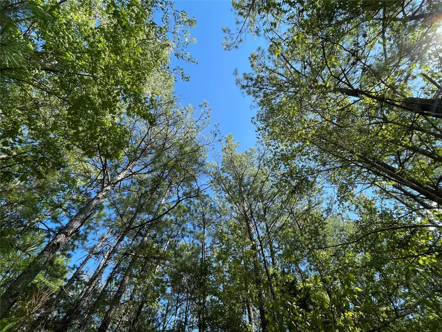 4630 Us Highway 96 N, Jasper, TX 75951 - #3