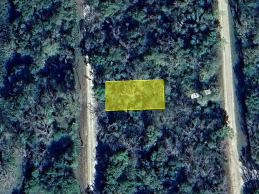 0 Wynne Road, Trinity, TX 75862 - #3