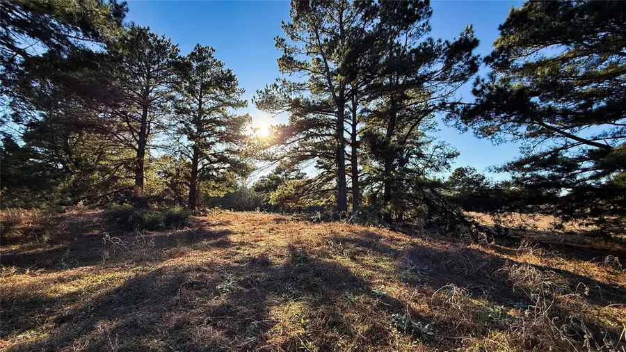 TBD #9 County Road 477, Henderson, TX 75654 - #3