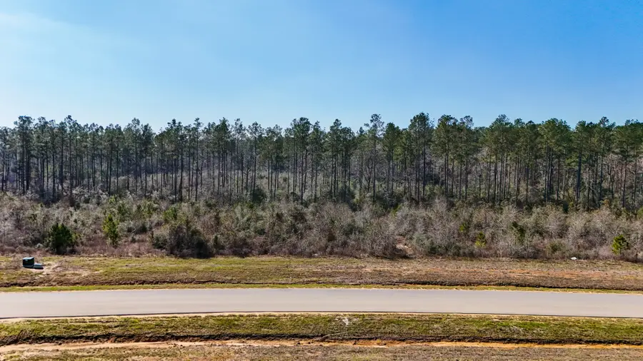 15973 Ridge Oak Road, Willis, TX 77378 - #3