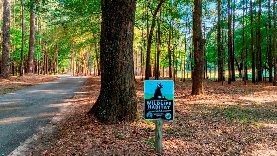 11161 Fm 344 W, Bullard, TX 75757 - Image #3