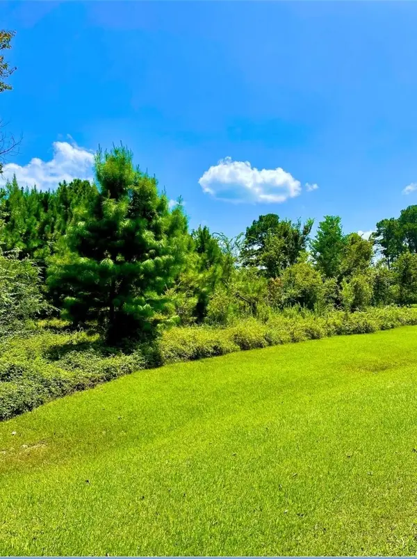 0 Lakeshore Drive, Hempstead, TX 77445