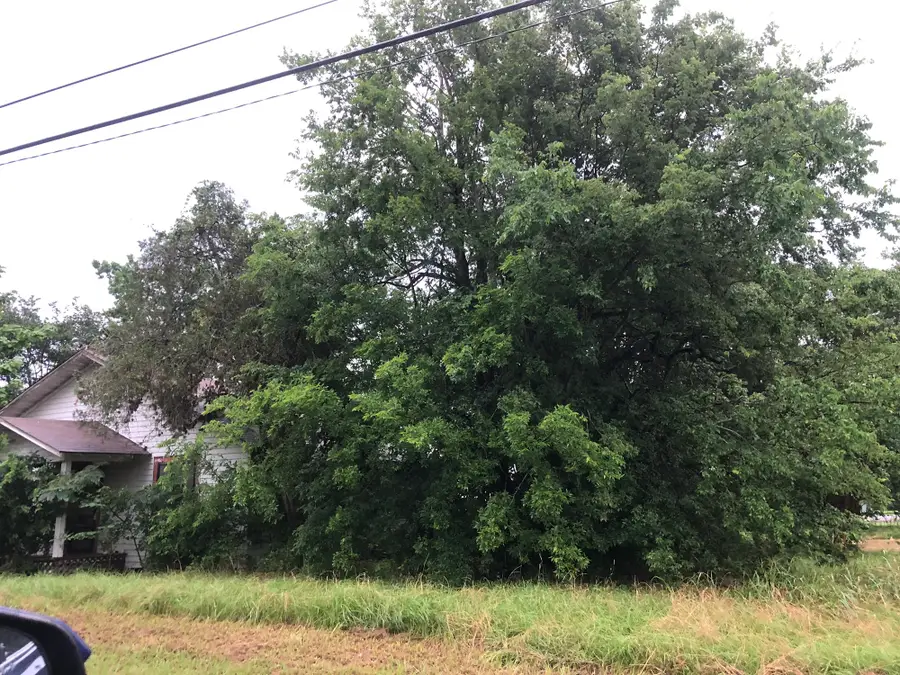 22078 Grimes Street, Bedias, TX 77831 - Image #2