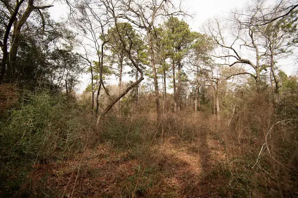 TODD MISSION DR Todd Mission Drive, Plantersville, TX 77363