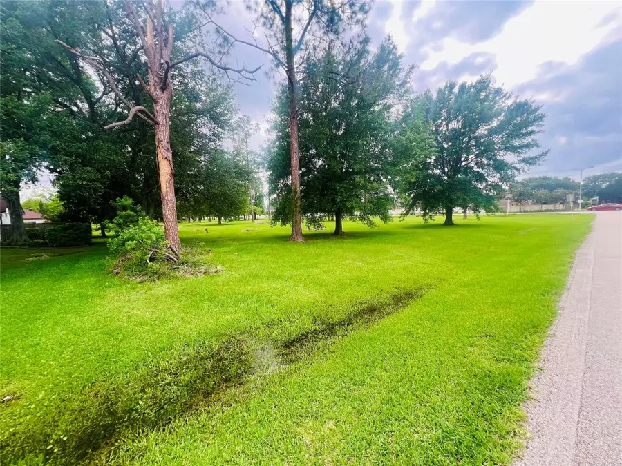 24505 Roesner Road, Katy, TX 77494 - #3