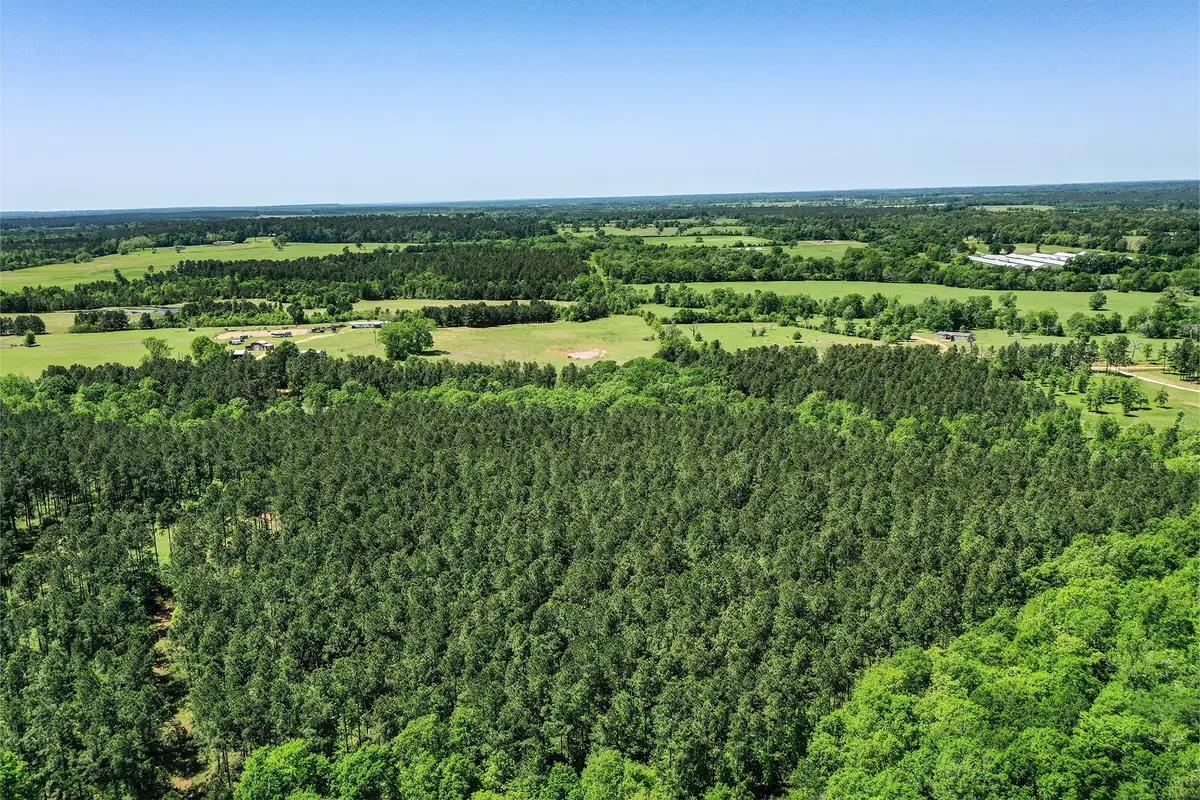 18.897 Ac Cr 1050, Crockett, TX 75835 - Image #1