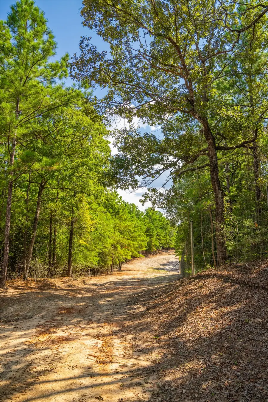 0 Weaver Bend Drive, Huntington, TX 75949 - #3