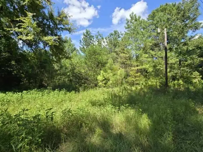 TBD Fm 980, Huntsville, TX 77320 - Image #1