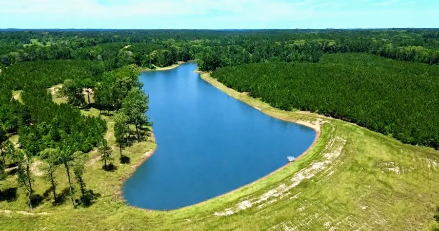 TBD Cr 2125, Crockett, TX 75835 - #2
