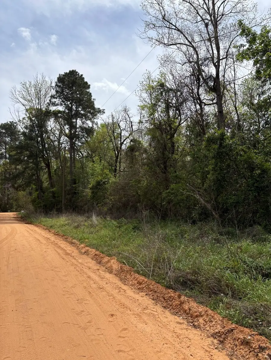 1162 The Ole Don Road, Livingston, TX 77351 - Image #2