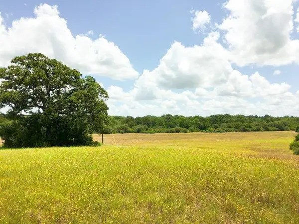11695 Fm 1511, Oakwood, TX 75831