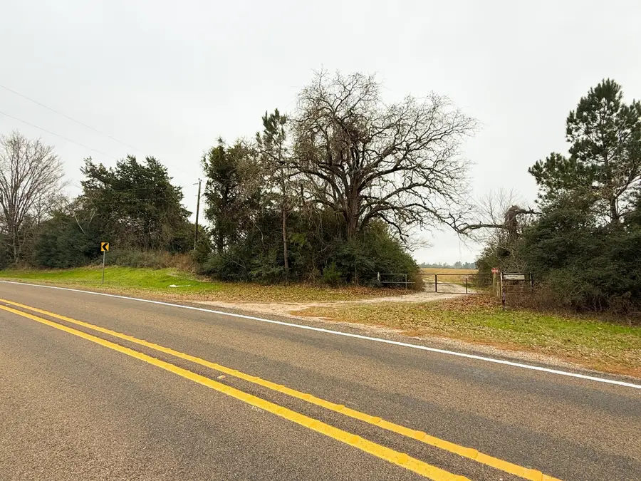 11695 Fm 1511, Buffalo, TX 75831 - Image #2