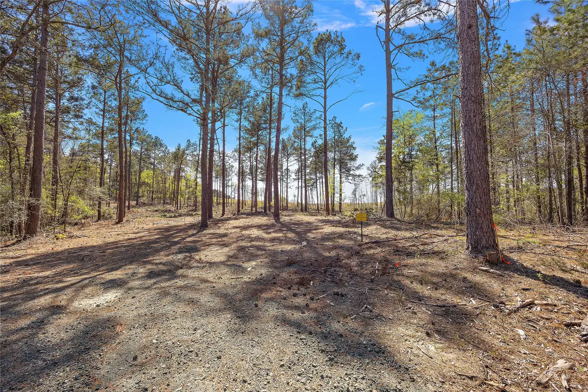 573 Piney Creek Estates Rd, Timpson, TX 75975 - Image #1