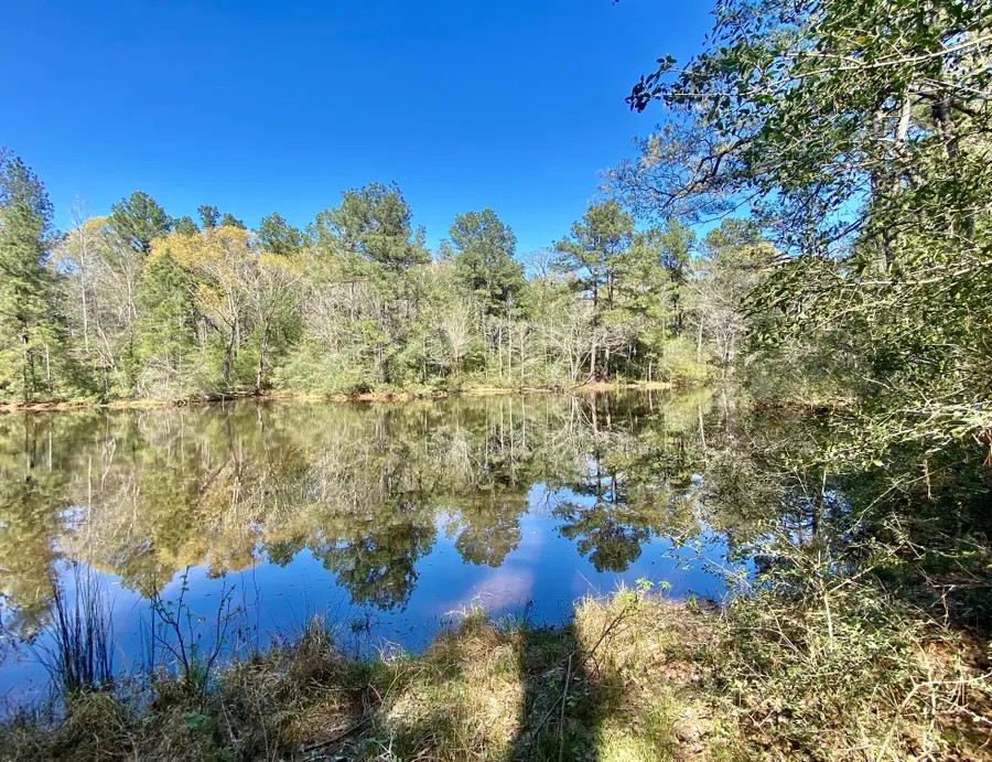 TBD Cr 2130, Crockett, TX 75835 - Image #3