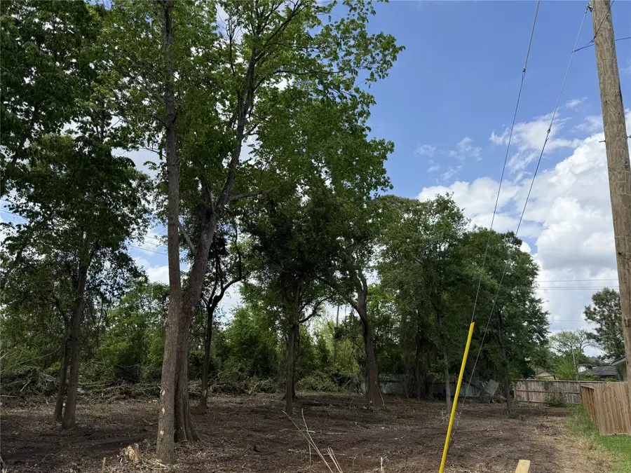 8003 Bigwood Street, Houston, TX 77078 - #3