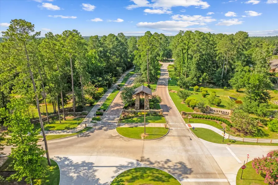 133 Pepper Grass Place, Montgomery, TX 77316 - #3