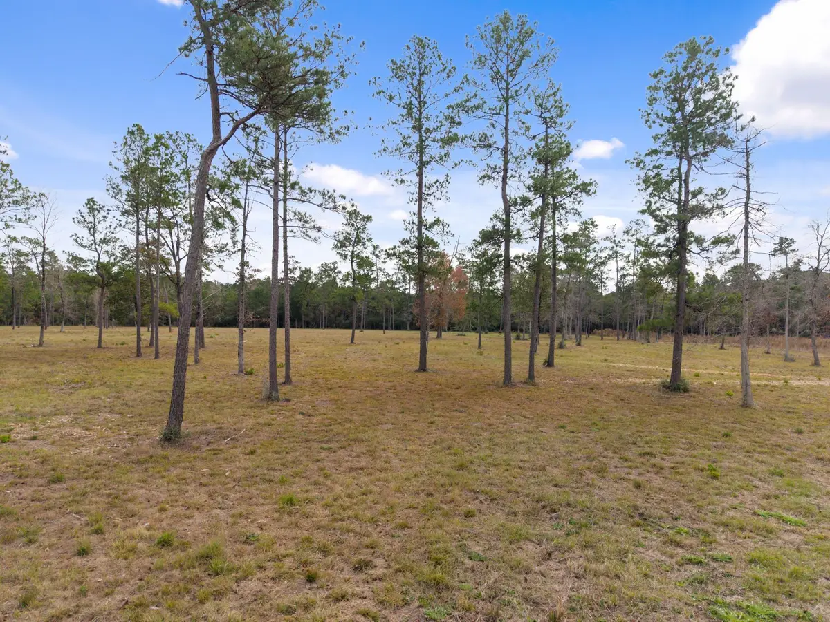TBD LOT 4 Fm 3152 Road, Livingston, TX 77351 - #1