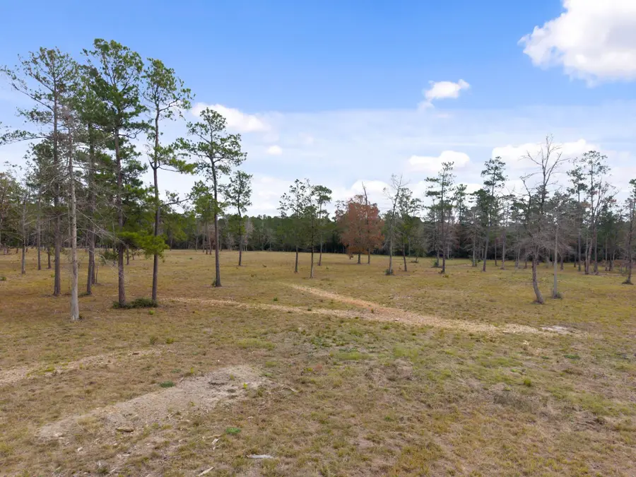 TBD LOT 4 Fm 3152 Road, Livingston, TX 77351 - #2