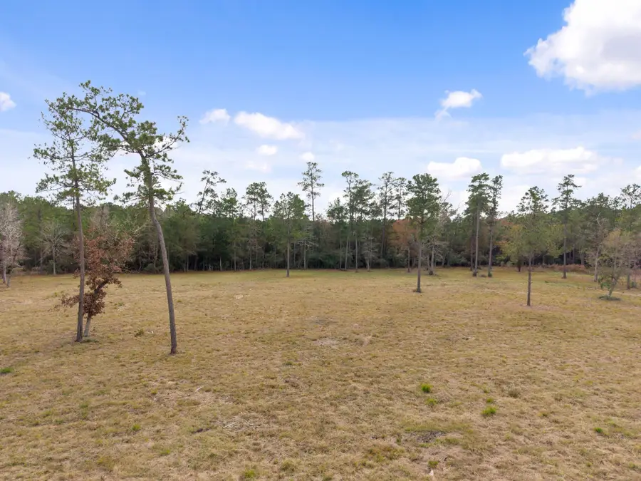 TBD LOT 4 Fm 3152 Road, Livingston, TX 77351 - #3