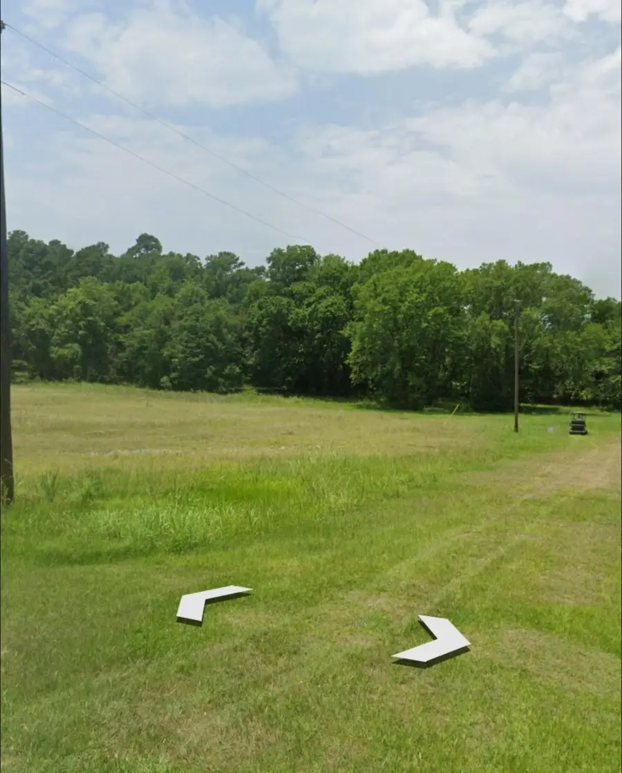 00 Scenic Woods Drive, Coldspring, TX 77331 - Image #3