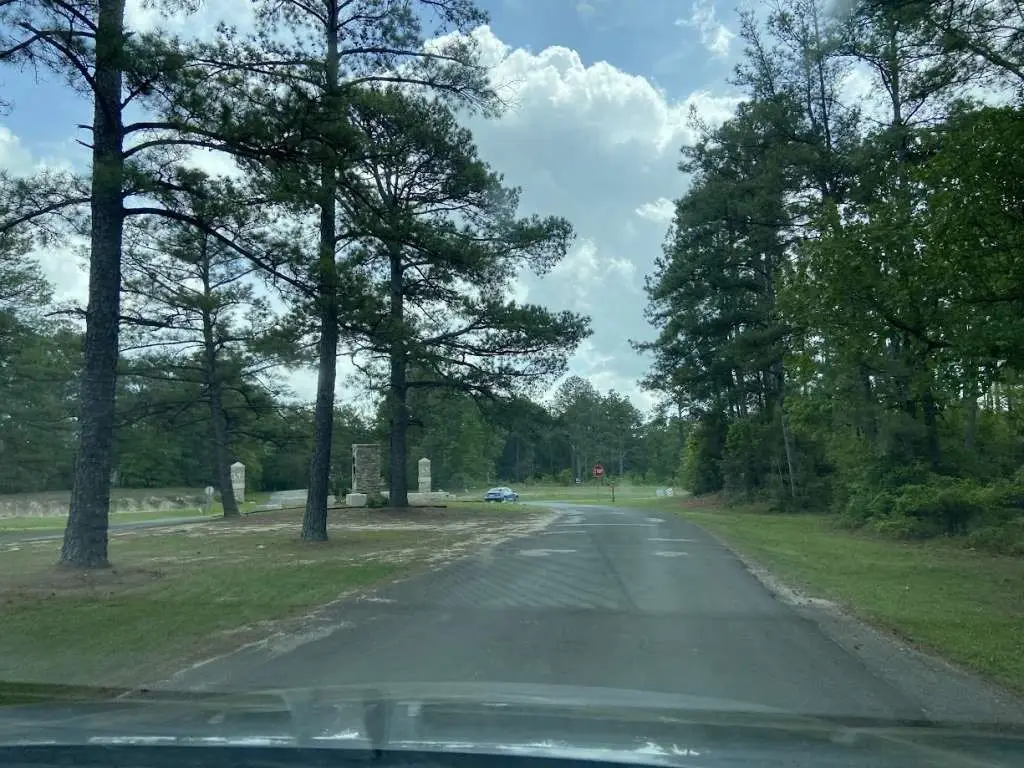 195 Tarnwood Drive, Brookeland, TX 75931 - Image #1