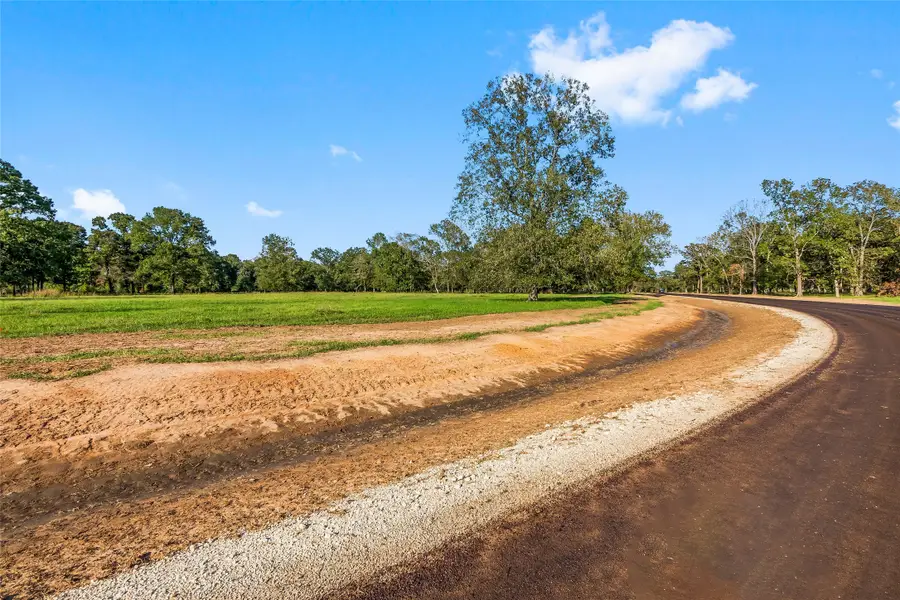 6069 Alans Memorial Lane, New Waverly, TX 77358 - Image #3