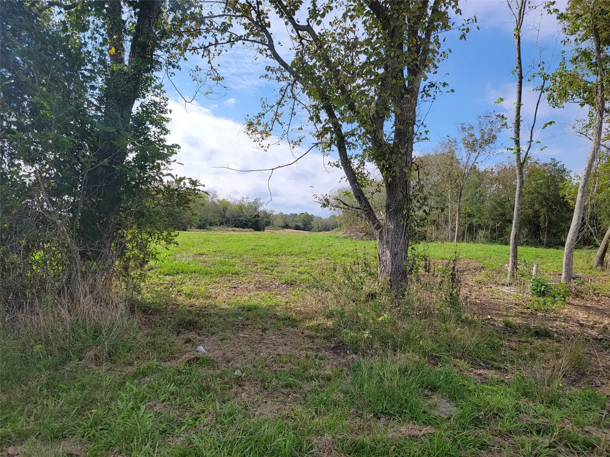 0 County Road 203, Liverpool, TX 77577 - Image #1