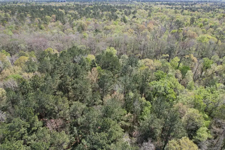 TBD County Road 4219, Orange, TX 77632 - Image #3