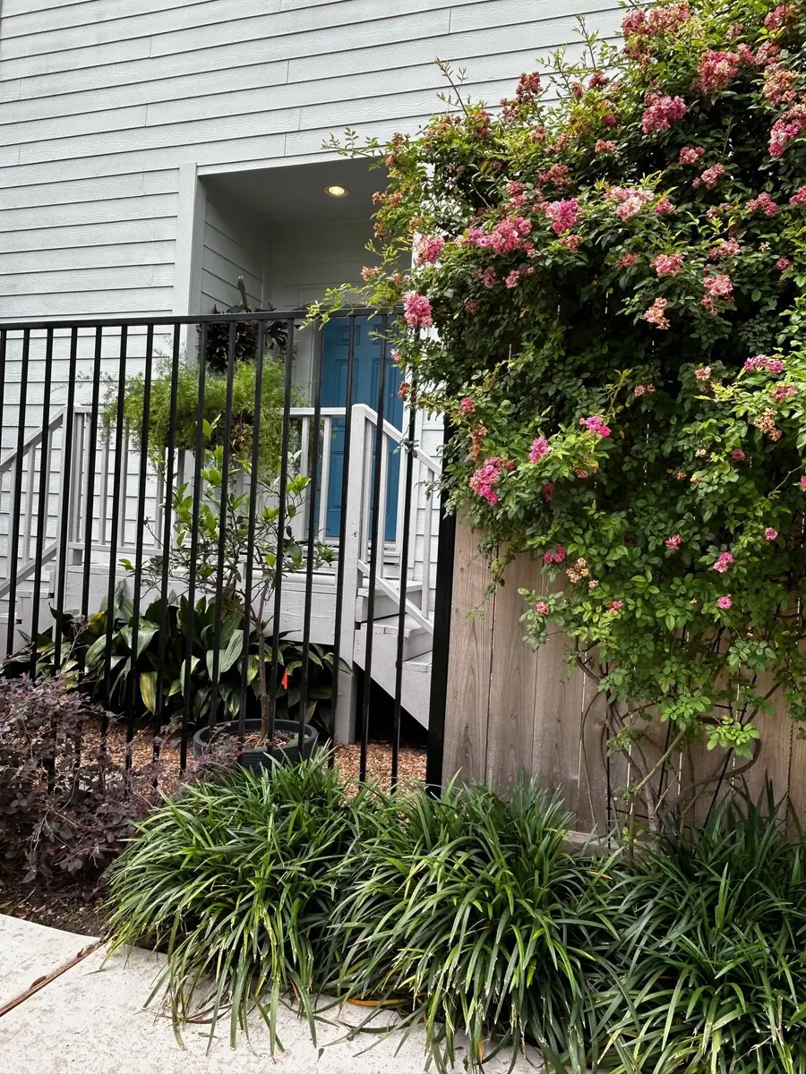 2424 Couch Street, Houston, TX 77008 - #3