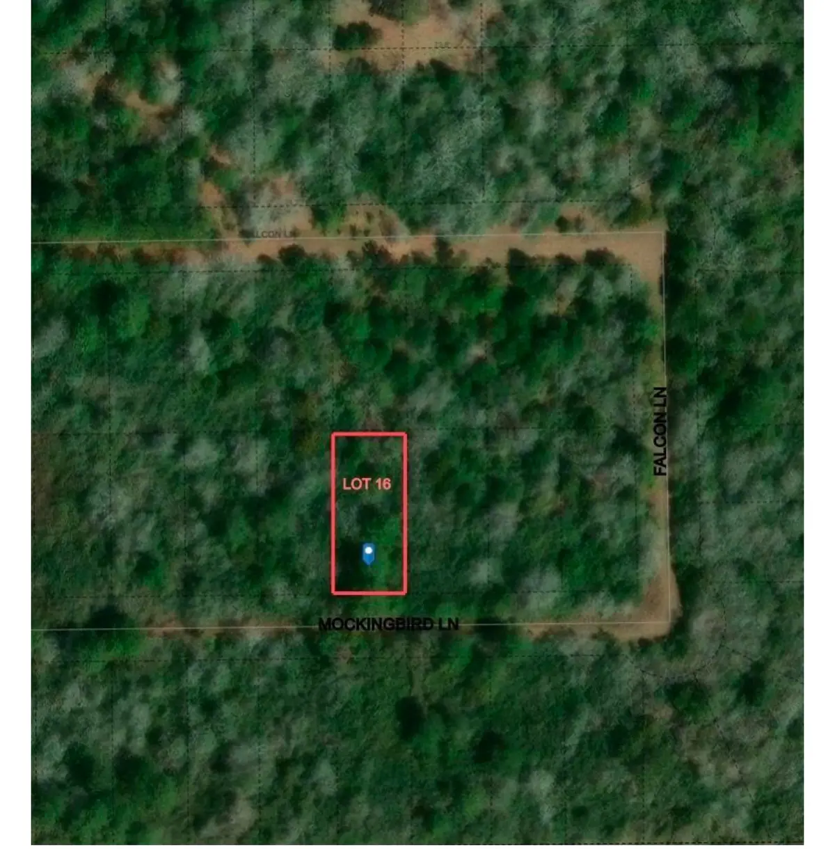 26663 Mockingbird Lane, Hempstead, TX 77445 - Image #1