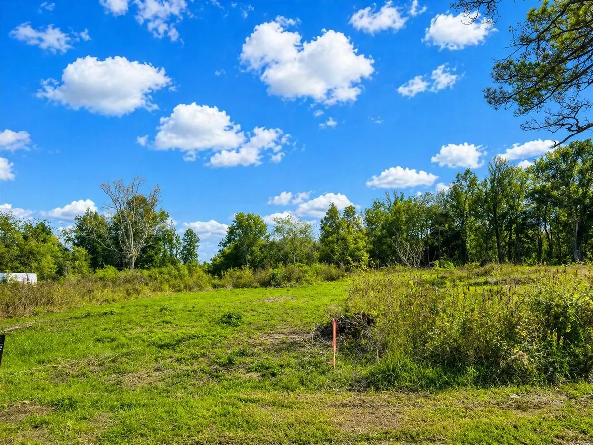 0 Farm To Market 1960, Dayton, TX 77535 - #1