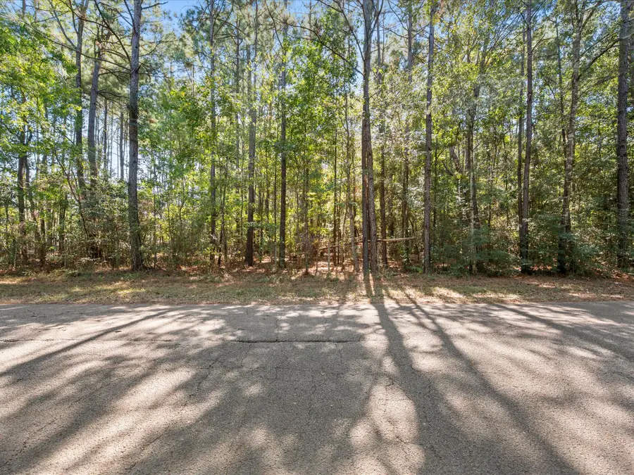 15416 Stoltje Drive, Conroe, TX 77306 - #2