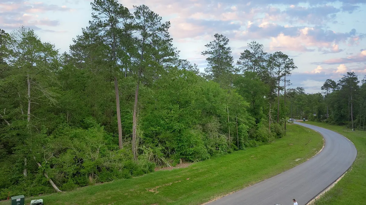 15628 Wood Grove Way, Willis, TX 77378 - Image #1