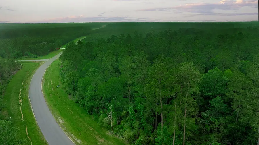 15628 Wood Grove Way, Willis, TX 77378 - Image #2