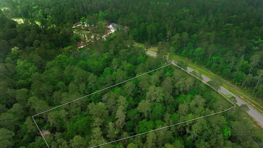 15628 Wood Grove Way, Willis, TX 77378 - Image #3