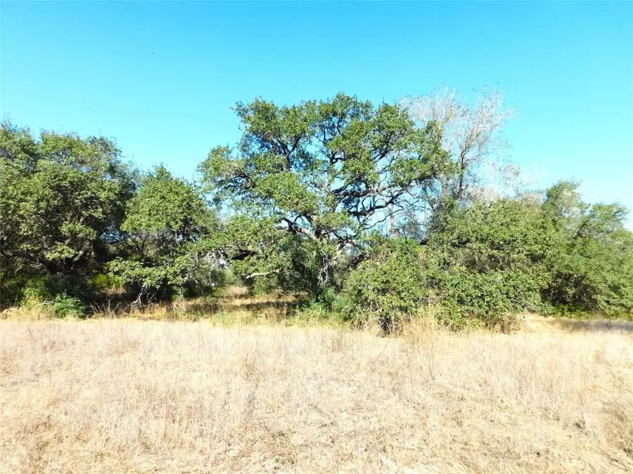 11145 Mt Falls School Road, Washington, TX 77880 - Image #3