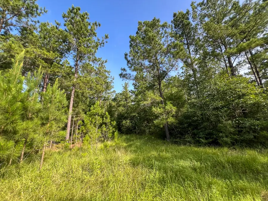 6 Fm 2989, Huntsville, TX 77320 - Image #2