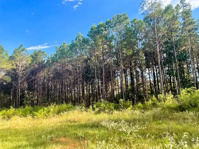 3564 Midway Loop E, Livingston, TX 77351 - Image #3