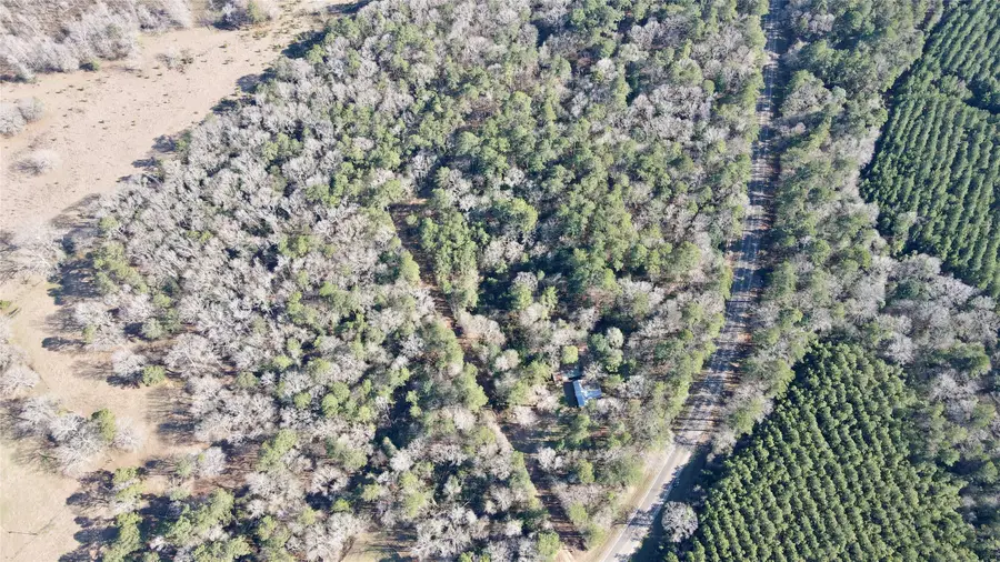 000 Fm 2798, Livingston, TX 77351 - #3