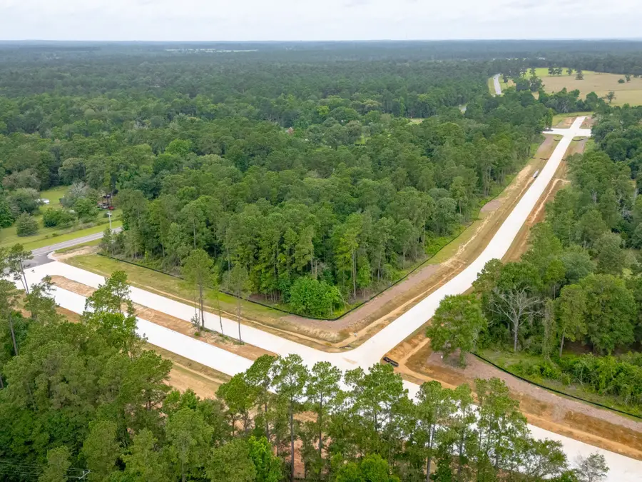 Lot 4, Block 8 Elmore Creek Dr, Willis, TX 77378 - Image #2