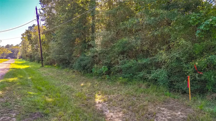 TBD 27 Timber Grove, Livingston, TX 77351 - #3