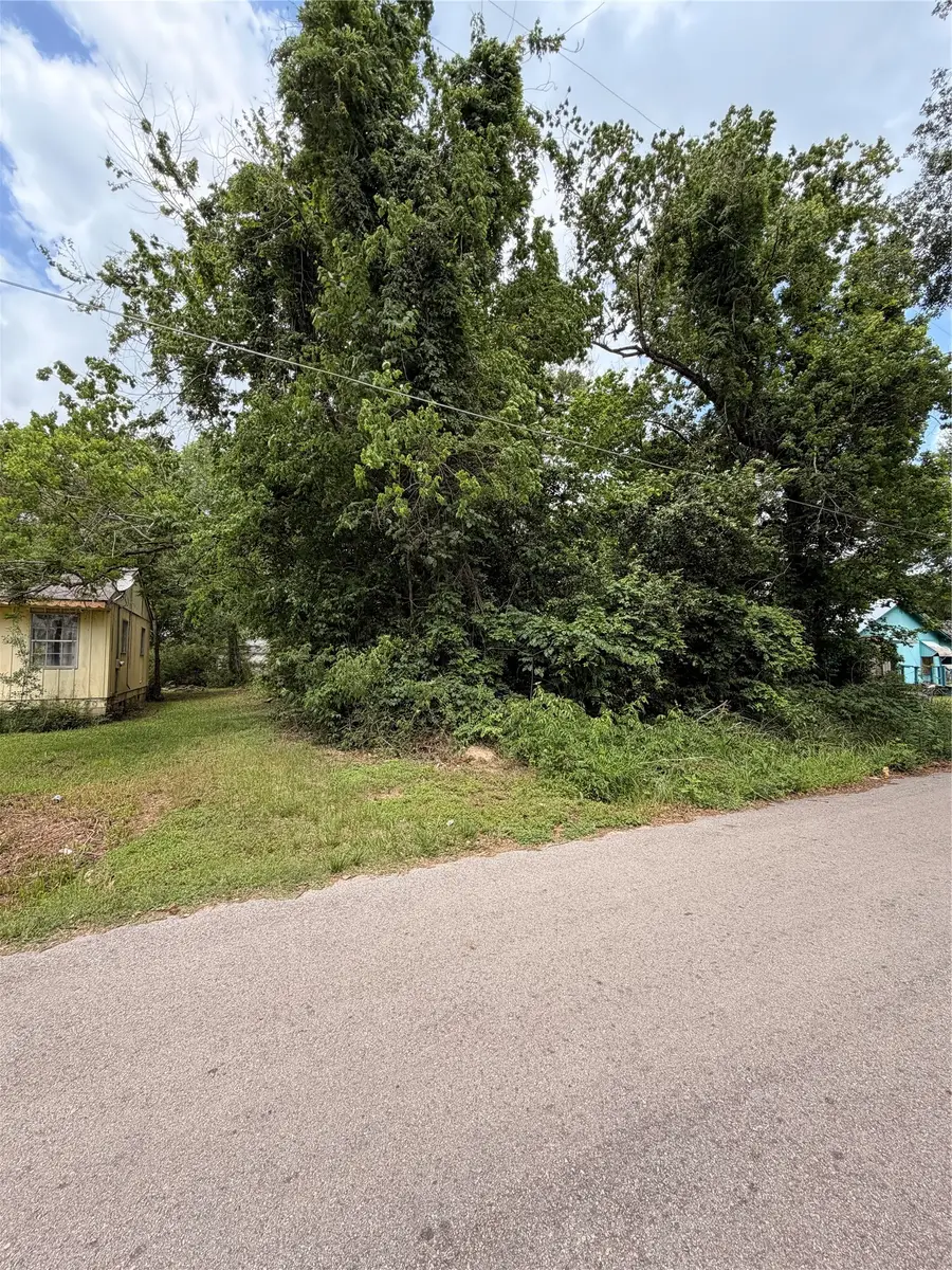 909 Linia Alfred Street, Cleveland, TX 77327 - #2