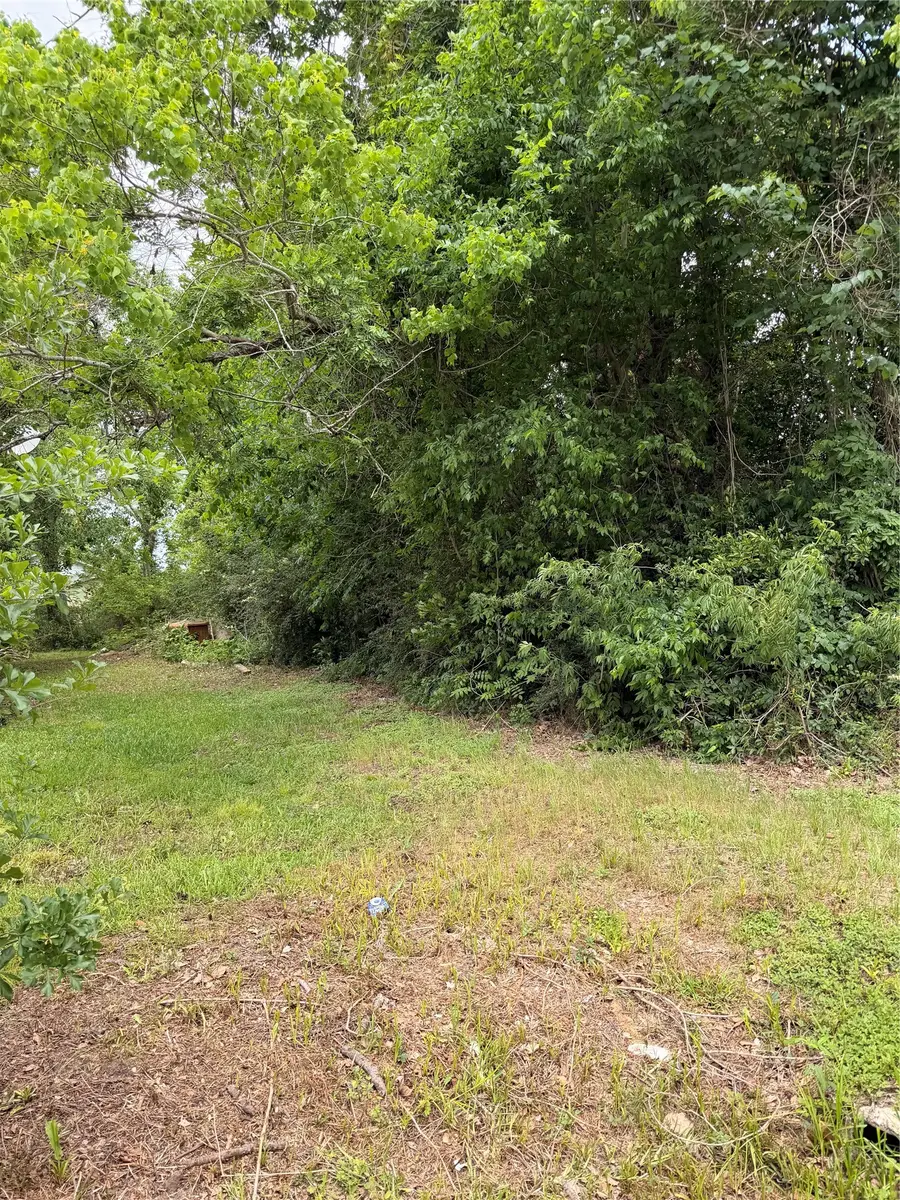909 Linia Alfred Street, Cleveland, TX 77327 - #3