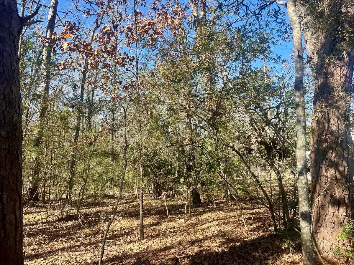 TBD Hackberry Drive, Onalaska, TX 77360 - Image #1