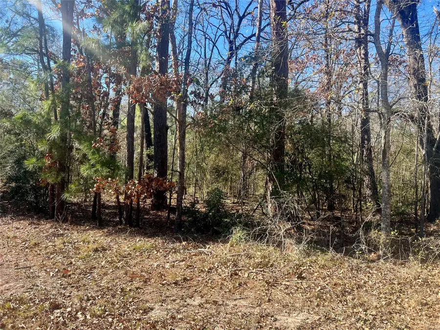 TBD Hackberry Drive, Onalaska, TX 77360 - Image #3